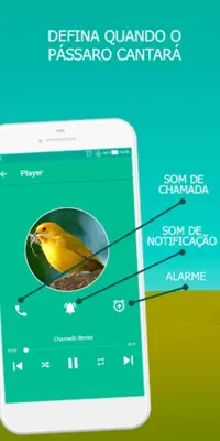 Song of Canaries android App screenshot 1